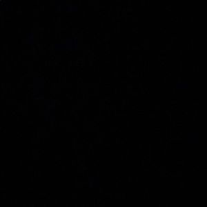 Meet your Posher, Kenzie